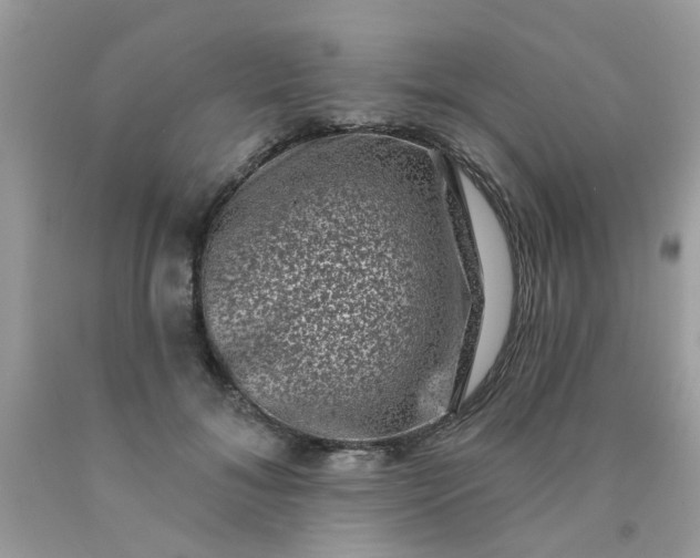 X0000090420700200707272111