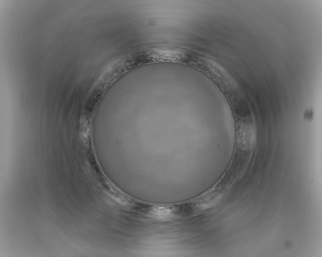 X0000090420701200707272111