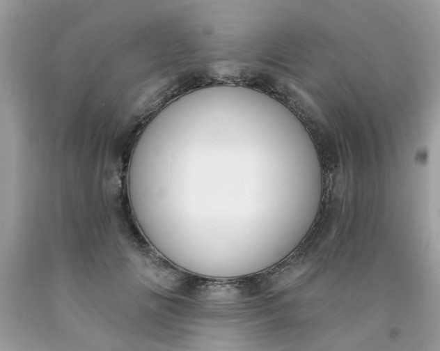 X0000090420702200707272111