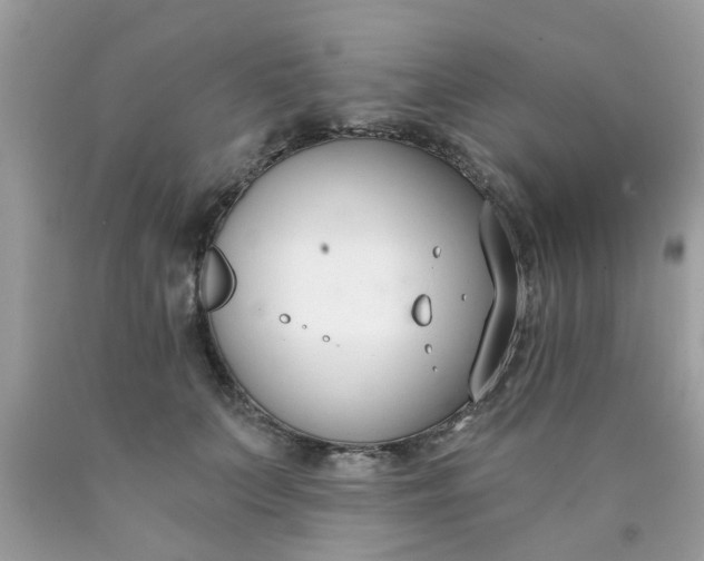 X0000090420703200707272111