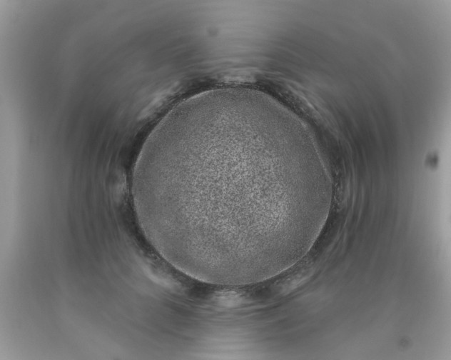 X0000090420704200707272111