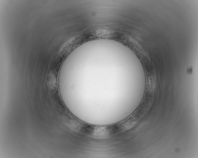 X0000090420705200707272111