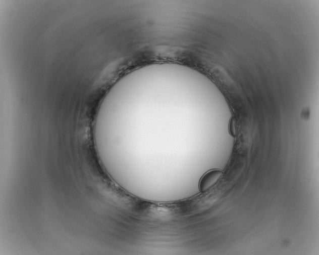 X0000090420706200707272111