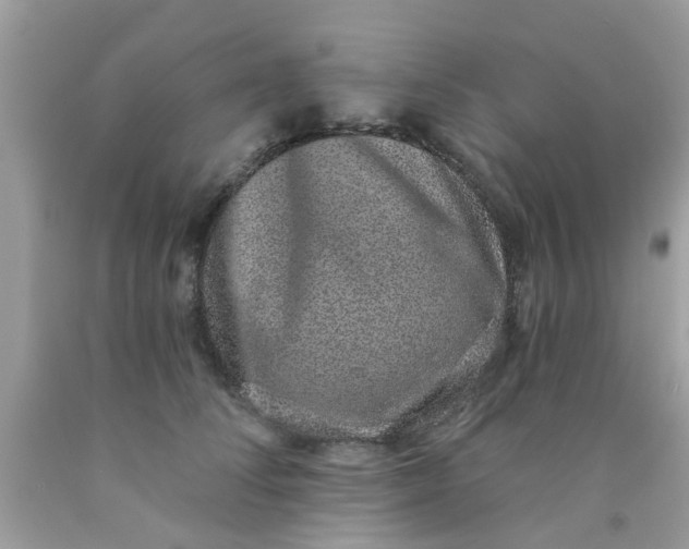 X0000090420708200707272111