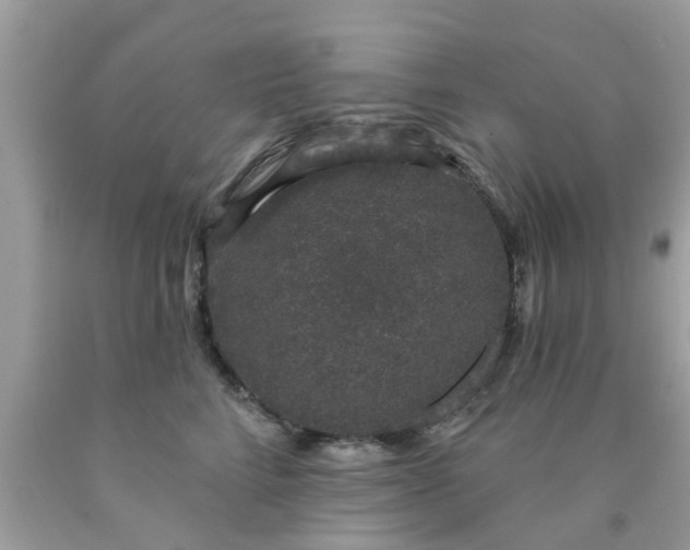 X0000090420712200707272111