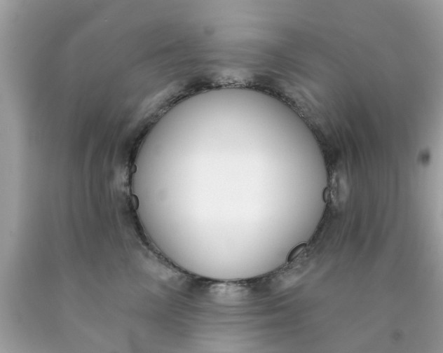 X0000090420714200707272111