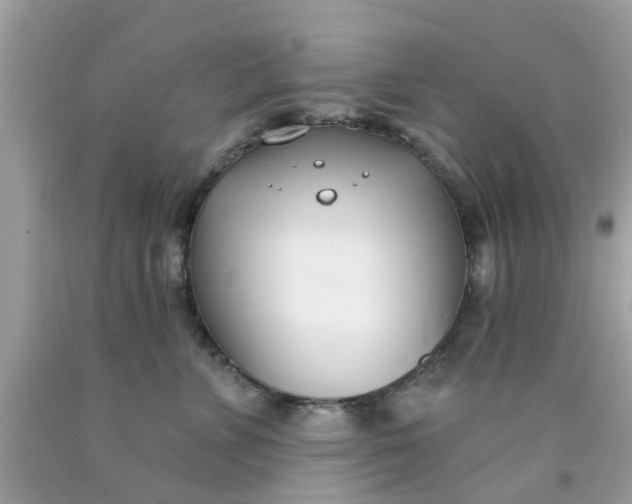 X0000090420715200707272111