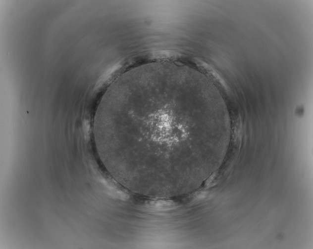 X0000090420716200707272111