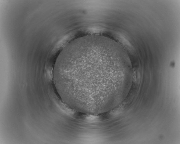 X0000090420718200707272110