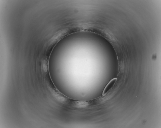 X0000090420719200707272110