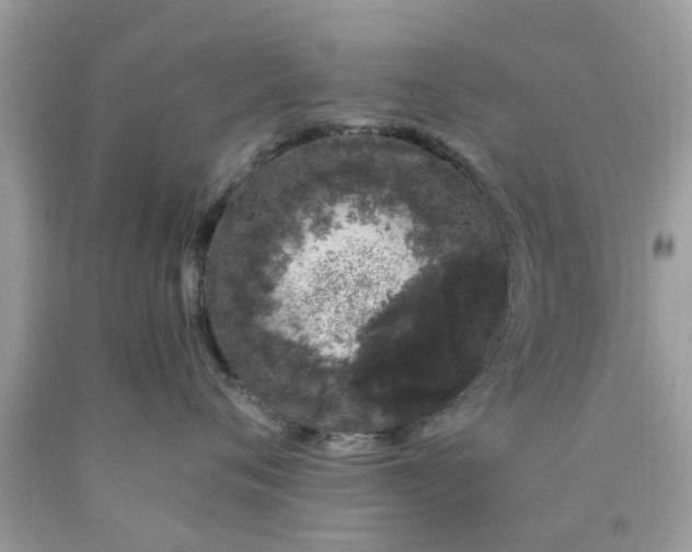 X0000090420720200707272110