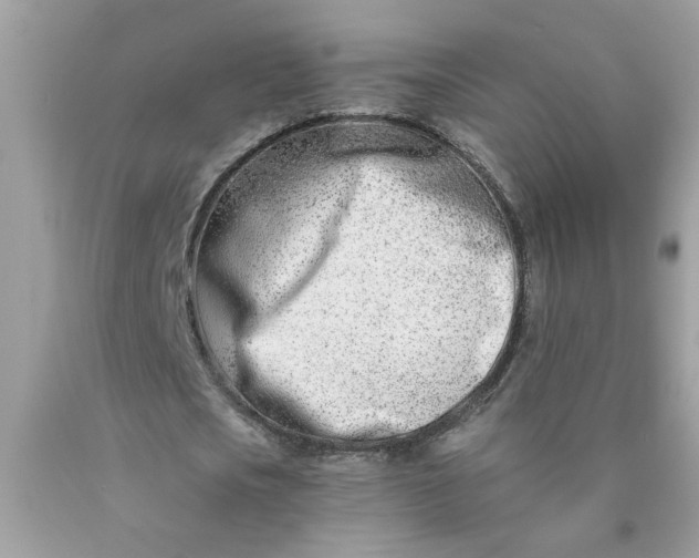 X0000090420721200707272110