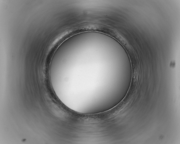 X0000090420722200707272110