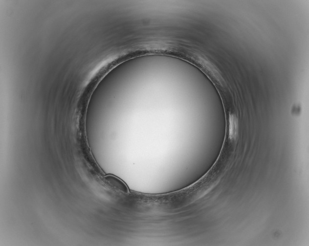 X0000090420723200707272110