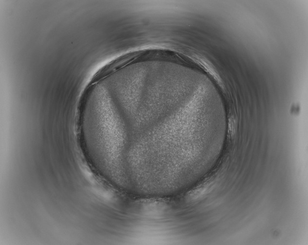 X0000090420724200707272110