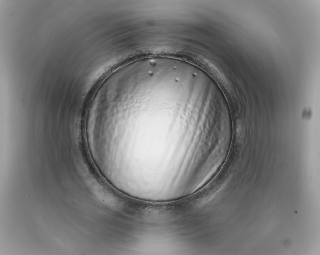 X0000090420725200707272110