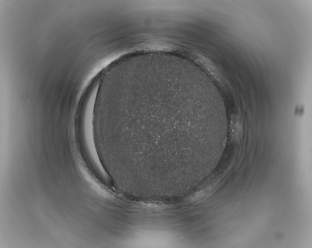 X0000090420726200707272110