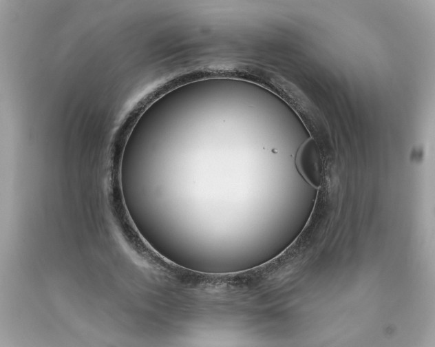 X0000090420728200707272110