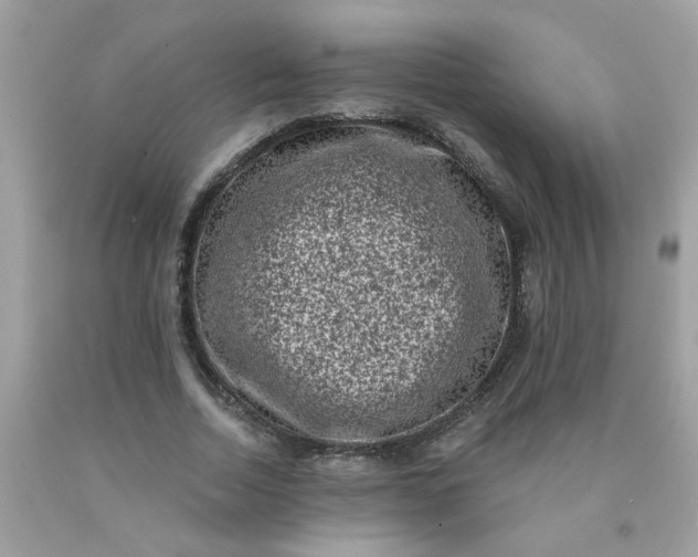 X0000090420730200707272110