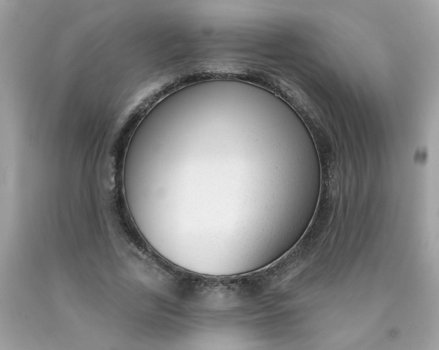 X0000090420731200707272110