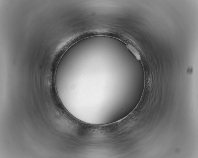 X0000090420732200707272110