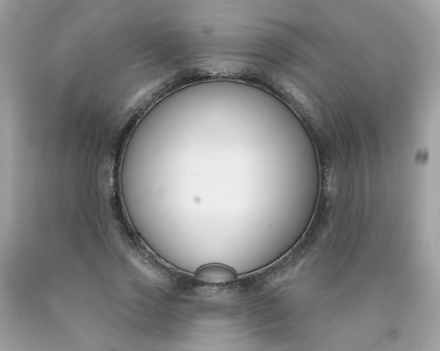 X0000090420733200707272110