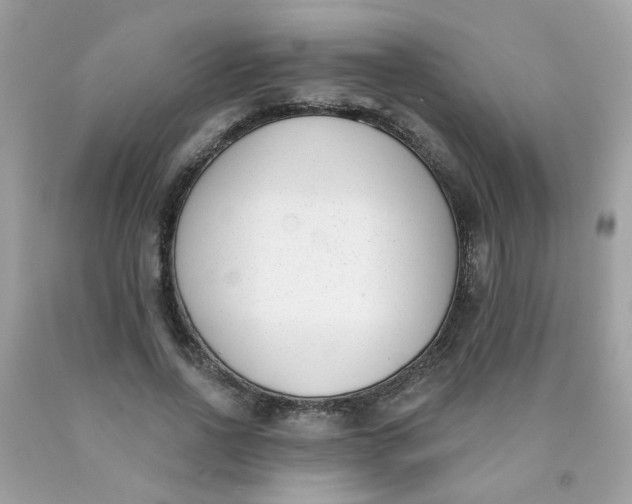 X0000090420734200707272110