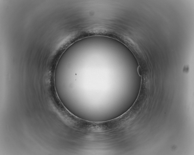 X0000090420735200707272110