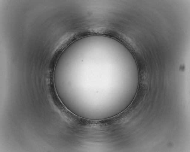 X0000090420738200707272110