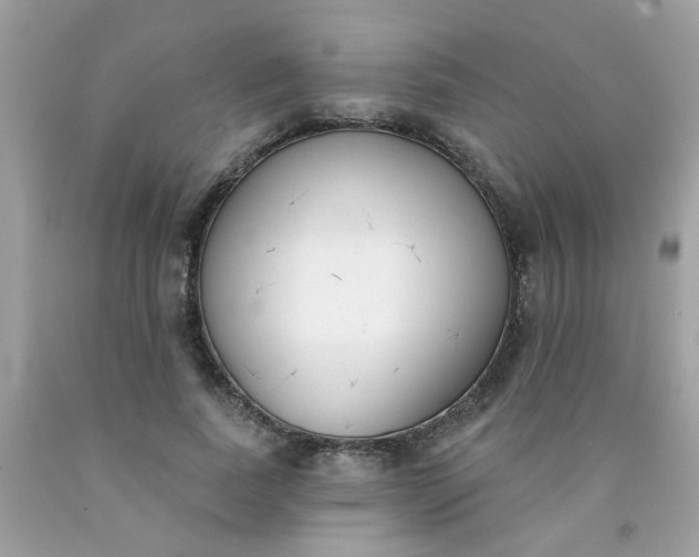 X0000090420739200707272110