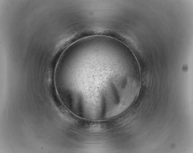 X0000090420740200707272110