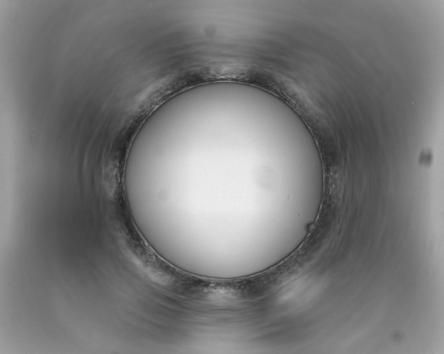 X0000090420741200707272110