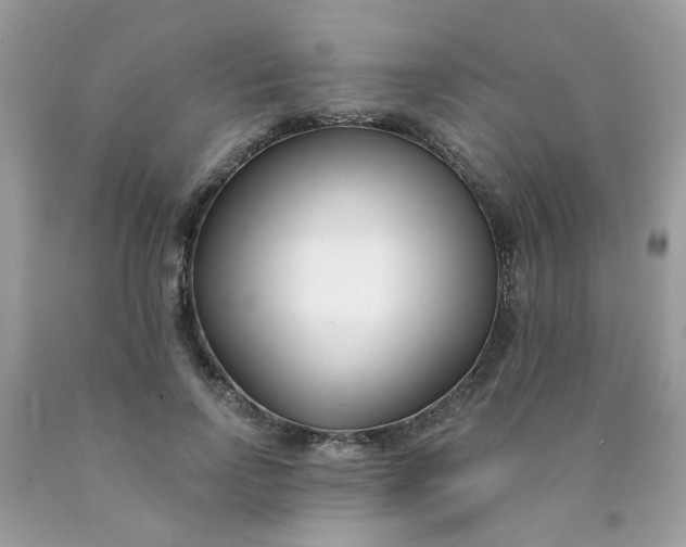 X0000090420742200707272110