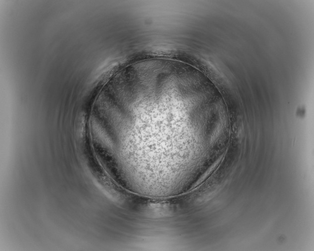 X0000090420744200707272110