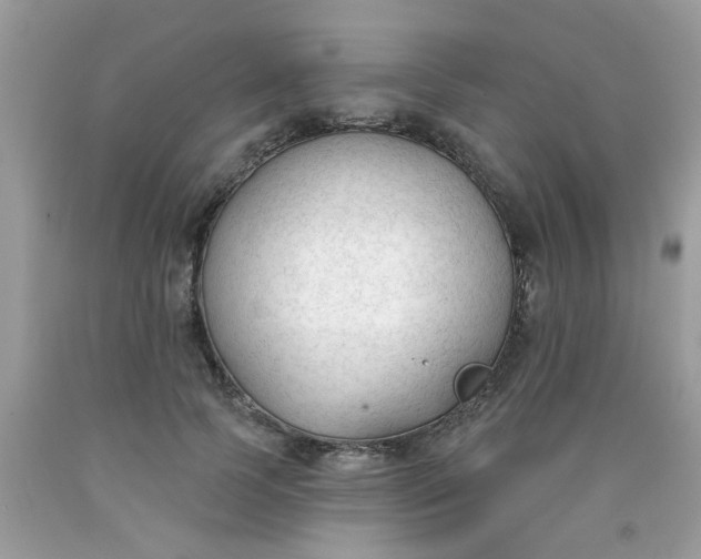 X0000090420745200707272110