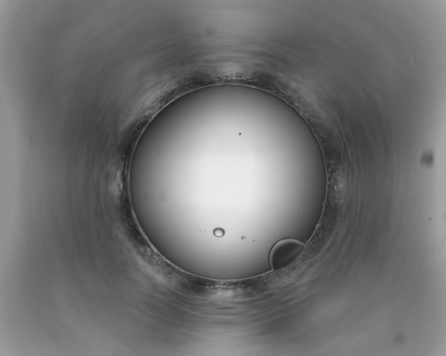 X0000090420746200707272110