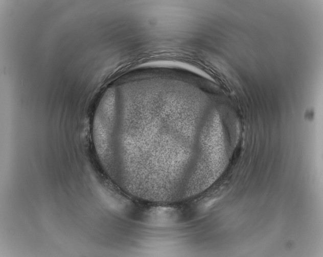 X0000090420748200707272110