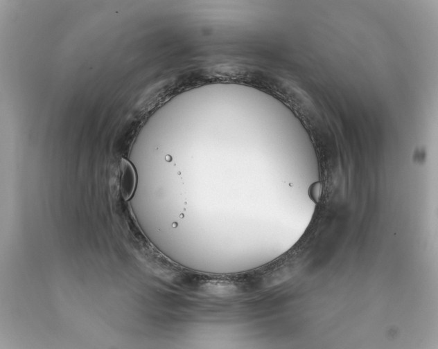 X0000090420749200707272110