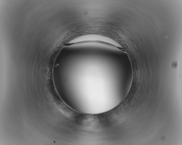 X0000090420750200707272110