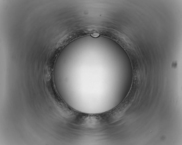 X0000090420751200707272110