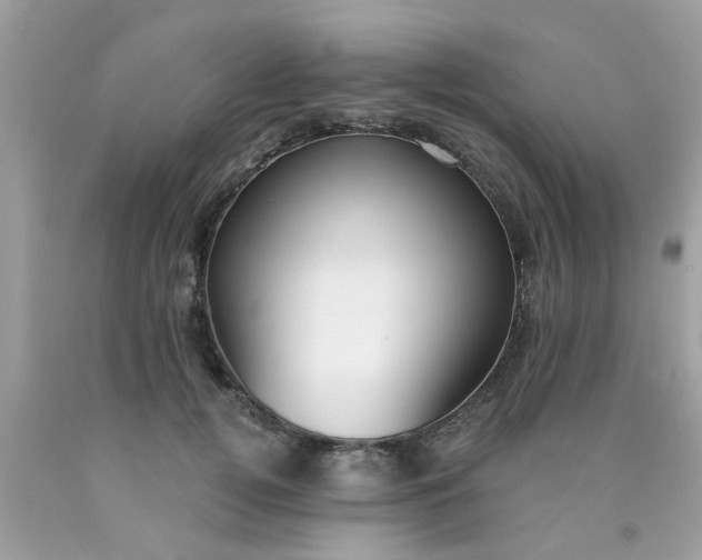 X0000090420752200707272110