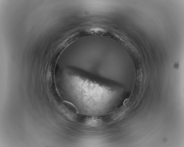 X0000090420754200707272110