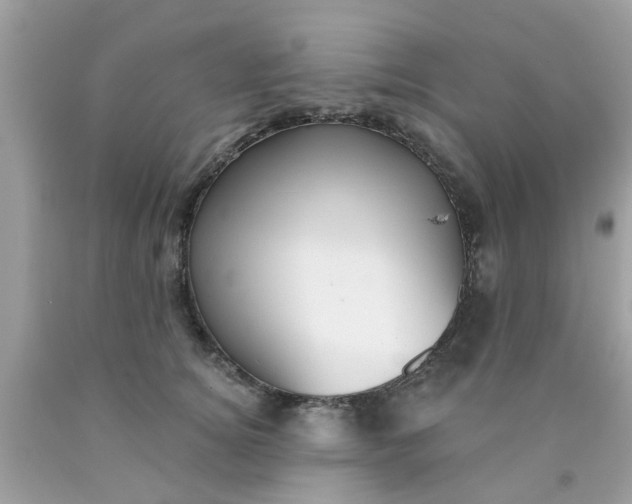 X0000090420756200707272110