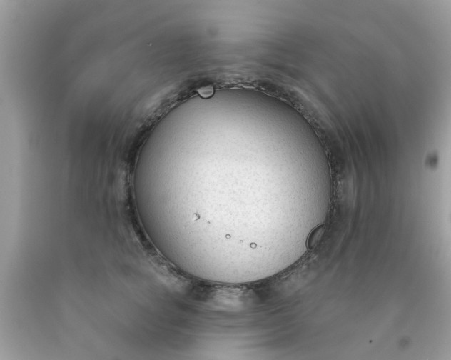 X0000090420757200707272110