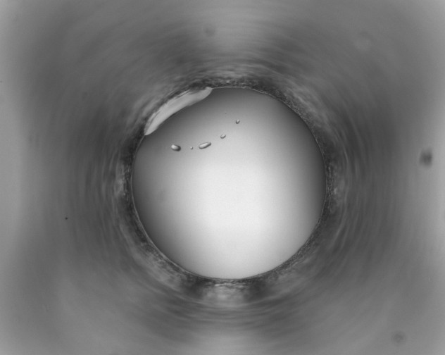 X0000090420758200707272110