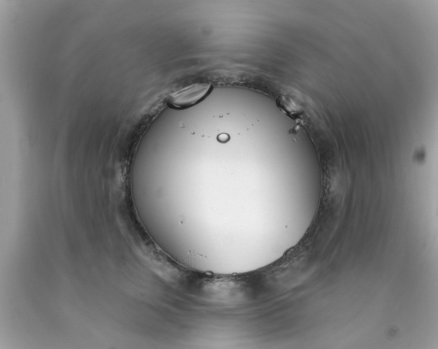 X0000090420759200707272110