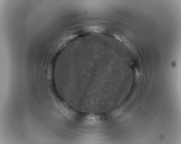 X0000090420760200707272110