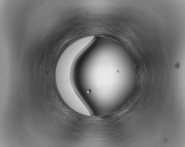 X0000090420762200707272110