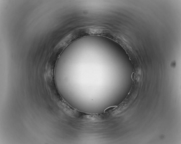 X0000090420763200707272110