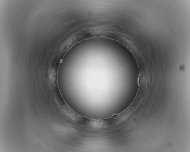 X0000090420767200707272110